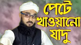 পেটে খাওয়ানো যাদুর লক্ষণ ও তার চিকিৎসা  পেটের যাদু বার করার তদবীর [upl. by Andaira]