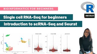 Introduction to singlecell RNASeq and Seurat  Bioinformatics for beginners [upl. by Aldred988]