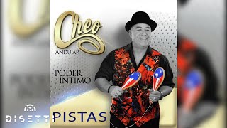 Cheo Andujar  Día Tras Día Audio Oficial  Salsa Romántica [upl. by Lamrej137]