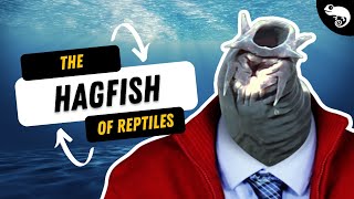 Youre Basically The Hagfish of Reptiles [upl. by Rachel100]