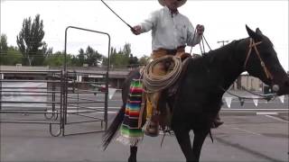 Spanish Vaquero Horsemanship Demonstration [upl. by Asirrak]