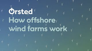 How Offshore Wind Farms Work [upl. by Moht852]