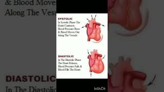 Systolic diastolic calmdown music viralshort allaboutnorcet medicaleducation norcetstudytips [upl. by Gingras]