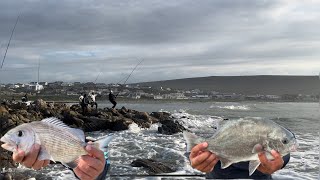 Fishing in Cape AgulhasStruisbaai MUSSELCRACKERGALJOEN [upl. by Akirret]