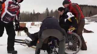 Wheelchair dog sled holidays Canada  Arctic Aventure [upl. by Craig]