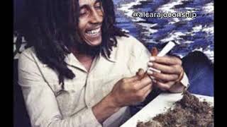 Legalizenla Bob Marley Viejas Locas IA cover [upl. by Oznarol]