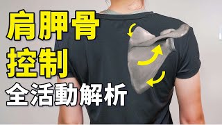 活動度之王  肩膀，是怎麼卡住的？完美協調肩胛骨的必學動作｜啾c物理治療師 肩胛骨 肩膀 [upl. by Aidekal111]