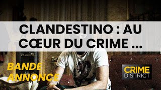 bande annonce Clandestino  Au cœur du Crime Organisé sur Crime District [upl. by Nodnar]