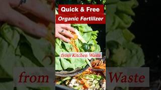 Quick amp Free Organic Fertilizer from Kitchen Waste  DIY Liquid Fertilizer [upl. by Ylreveb763]