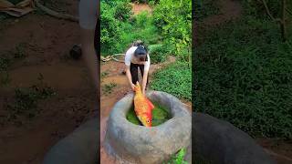 UNBELIEVABLE fishing unique fishing best fishing fishing video trending fish shorts funny [upl. by Ykcul]