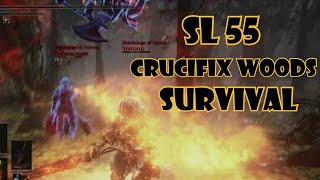 SL 55 Strength Pyromancer Build  Dark Souls 3 Crucifix Woods Survival [upl. by Stortz]