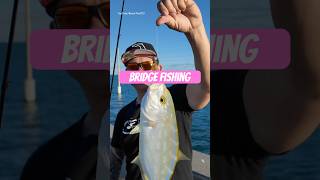 Bridge Fishing Florida Keys [upl. by Ennoitna]