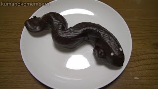 7 Eleven eel chocolate pastry う～なぎチョコパン [upl. by Stanford141]