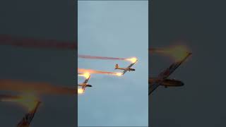 Epic sunset flight of the RedBull BlanixTeam at the Dittinger Flugtage 2024 [upl. by Neslund]