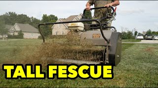 Tall Fescue Mowing Dethatching Over Seeding Top Dressing Starter Fertilizer [upl. by Suoirad]