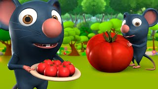 Chuha Aur Tamatar 3D Animated Hindi Moral Stories for Kids चूहा और टमाटर Rat Panchatantra Tales [upl. by Ardekan]