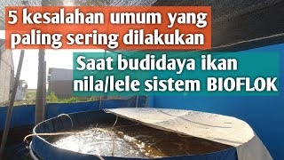 5 KESALAHAN UMUM YANG SERING DILAKUKAN PEMBUDIDAYA IKAN NILALELE SISTEM BIOFLOK [upl. by Loree]