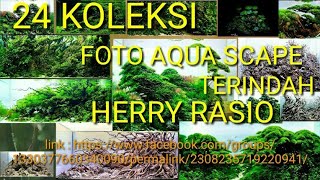 24 KOLEKSI FOTO AQUA SCAPE TERINDAH HERRY RASIO [upl. by Carmine]