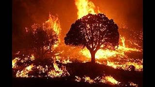 Leaking Hell Hits the US Boiling Hot Temperatures to Forest Fires [upl. by Peppel]