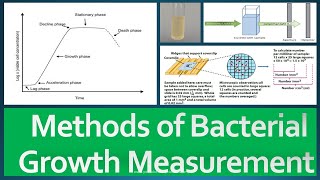 Growth Measurement Methods [upl. by Nimesay]