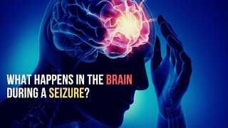 What happens in Brain during Seizure Neurobiology [upl. by Iknarf191]