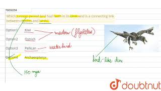 Which Jurassic period bird had teeth in its beak and is a connecting link between [upl. by Etnwahs]