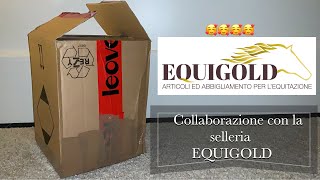 Collaborazione con la selleria Equigold  EQUESTRIAN KATY [upl. by Kath]