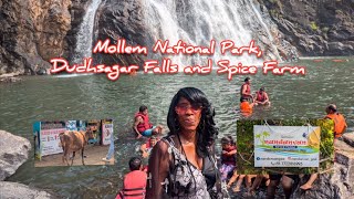 Mollem National Park Dudhsagar Falls Nandanvan Spice Farm by Safari Jeep by SEE1508 17112024 [upl. by Denie]