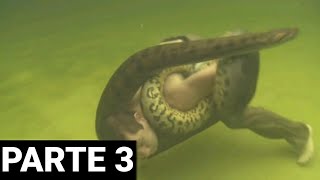 ATAQUES DE ANACONDAS EM HUMANOS PARTE 3 [upl. by Val]