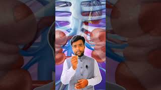 Dialysis Procedure Video shorts dialysis viral shortsfeed [upl. by Ennayr]