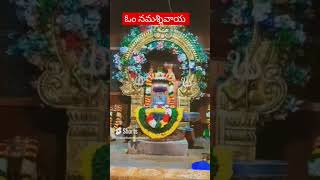 Karthika deepamkarthika Masam Deepam importanceyt shorts  Anantha Lakshmi [upl. by Noryak]