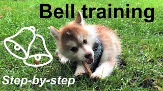 How we trained our puppy to ring a bell to go outside Pomsky dog training [upl. by Miuqaoj]