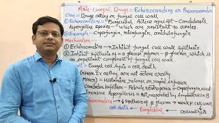 Antifungal Drugs Part09 Echinocandins  Caspofungin Introduction and Mechanism of Action [upl. by Delly]