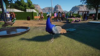 Planet Zoo Franchise  Episode One  Fresh Start  Entrance  Indian Peafowl Habitat [upl. by Naneek]