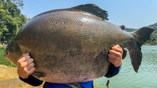 PESCA DOS TAMBAS GIGANTES NO EVA [upl. by Llertnauq]