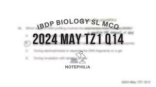 IB Biology SL 2024 May TZ1 Paper 1 Q14 [upl. by Labotsirc]