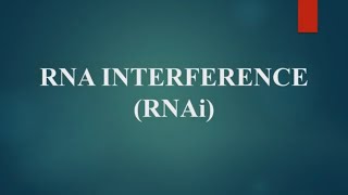 RNA Interference RNAi  siRNA  Small Interfering RNA [upl. by Ateikan]