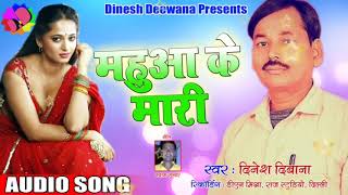 Mahua Ke Maari DINESH DIWANA Superhit Audio Mix Song [upl. by Canon]