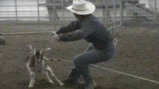 Goat Tying Ground Work [upl. by Sacram]