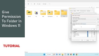 How to give permission to folder in Windows 11 [upl. by Supple]