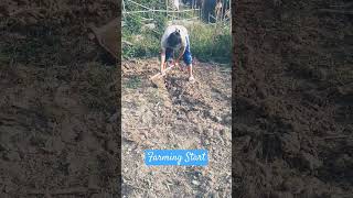 Farming Sample Farming cute localfarming music love brosis [upl. by Ramsdell174]