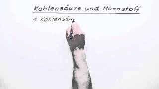 Kohlensäure und Harnstoff  Chemie  Allgemeine und anorganische Chemie [upl. by Perren329]