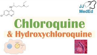 Chloroquine amp Hydroxychloroquine  Mechanism of Action Targets Malaria Adverse Effects [upl. by Odnolor231]