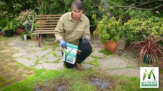 Repairing bare patches in the lawn using Munns Professional Quick Fix Lawn Seed  with Kim Syrus [upl. by Charron40]