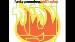 Funky Green Dogs  Fired Up extended club dance mix [upl. by Limaj]