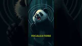 Top Zoologist Reveals Dark Secrets About Pandas panda facts nature [upl. by Yenroc]