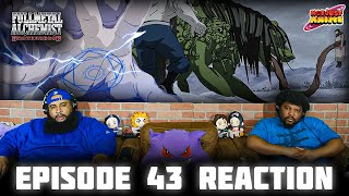 FMA Brotherhood Episode 43 Reaction [upl. by Llertnek918]