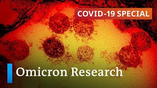 Origin transmissibility severity What we know about the Omicron variant so far  COVID19 Special [upl. by Nivrad]