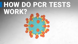 How do COVID19 tests work RTPCR explained [upl. by Rojas]