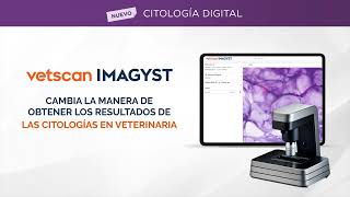 VETSCAN IMAGYST [upl. by Cayser]